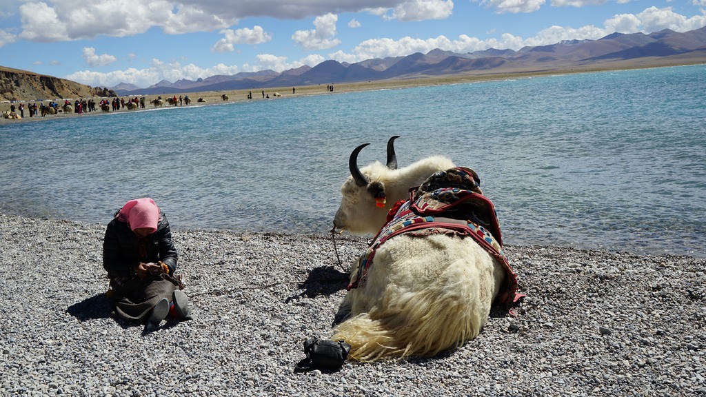 Top Things to Do in Tibet