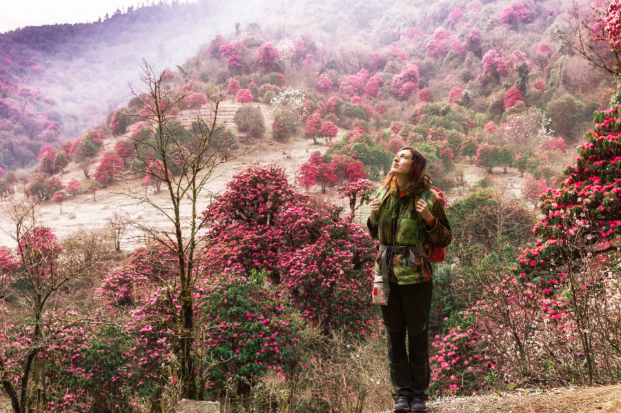 solo-women-trekking-in-nepal