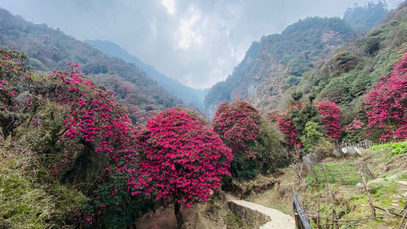 Route to Annapurna Base Camp - Annapurna Base Camp Trek | ABC Trek 10 Days Itinerary
