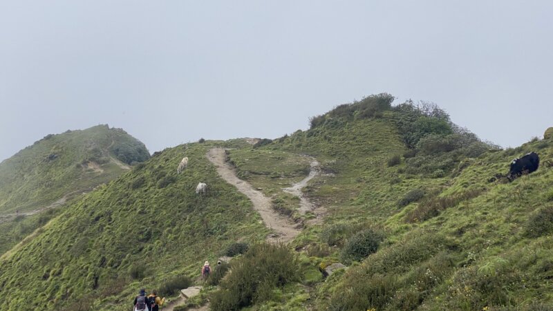 badal Danda,, mardi - Mardi Himal Trek