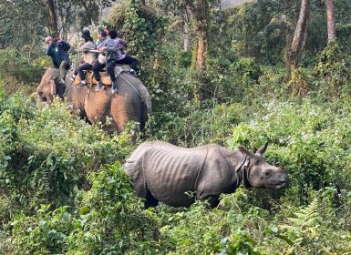 Chitwan National Park